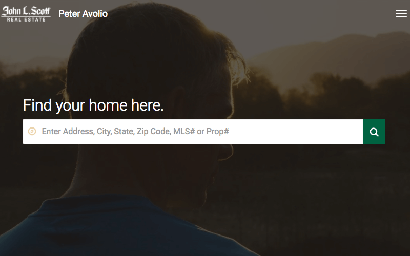 Preview of Peter Avolio's website